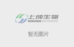 消防報(bào)警系統(tǒng)安裝的重大意義及作用